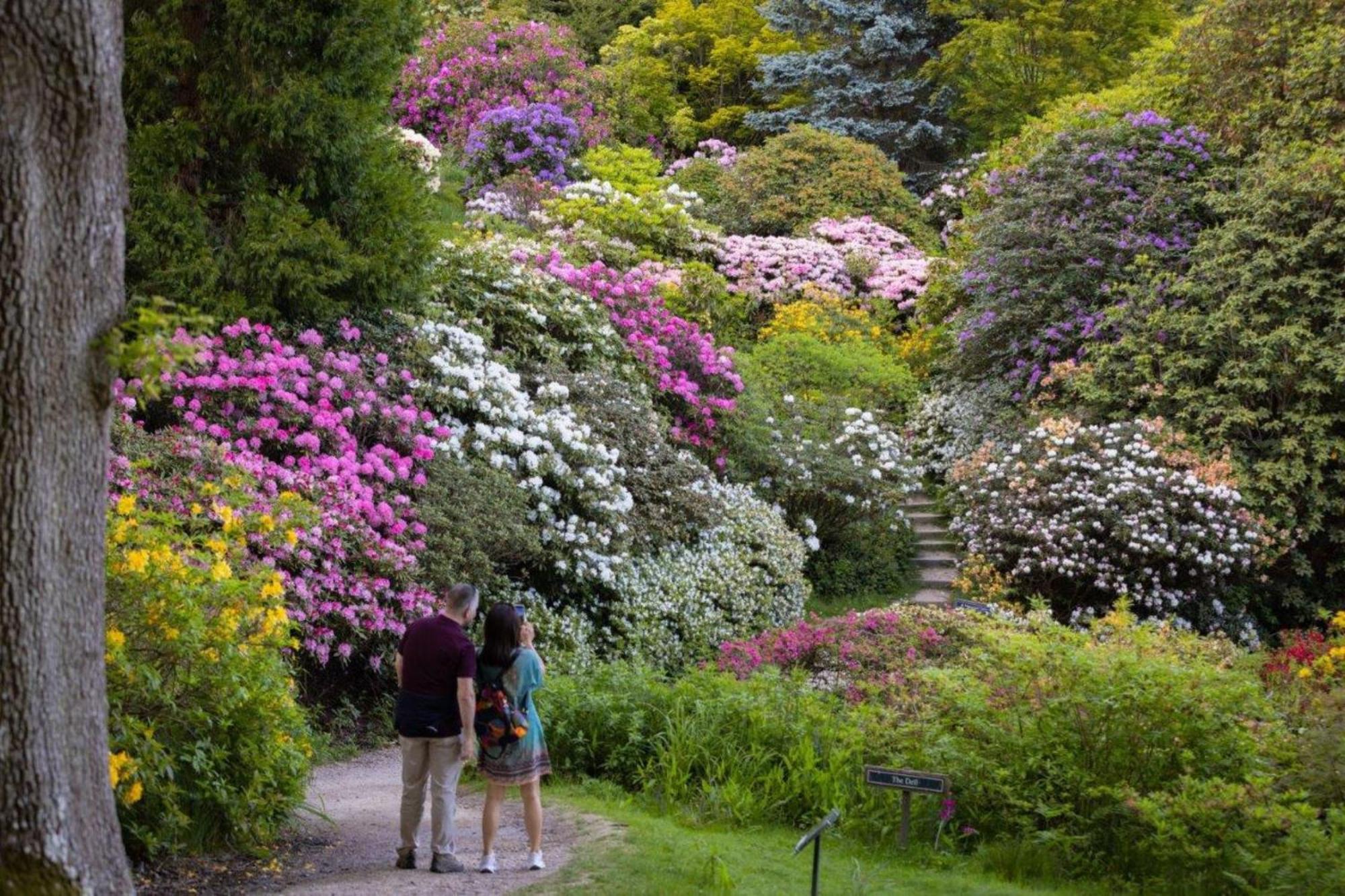 Leonardslee House at Leonardslee Lakes&Gardens Horsham Buitenkant foto